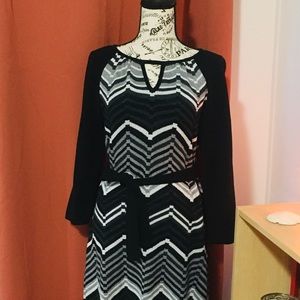 Spense Chevron Sweater Dress